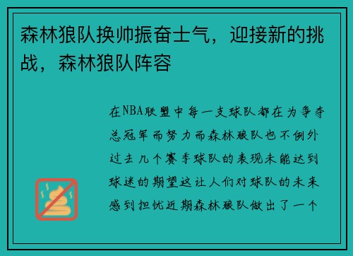 森林狼队换帅振奋士气，迎接新的挑战，森林狼队阵容