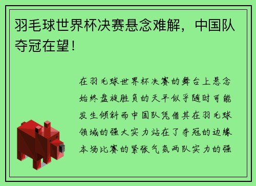 羽毛球世界杯决赛悬念难解，中国队夺冠在望！